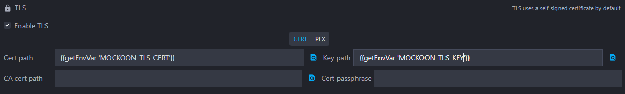 TLS configuration with environment variables